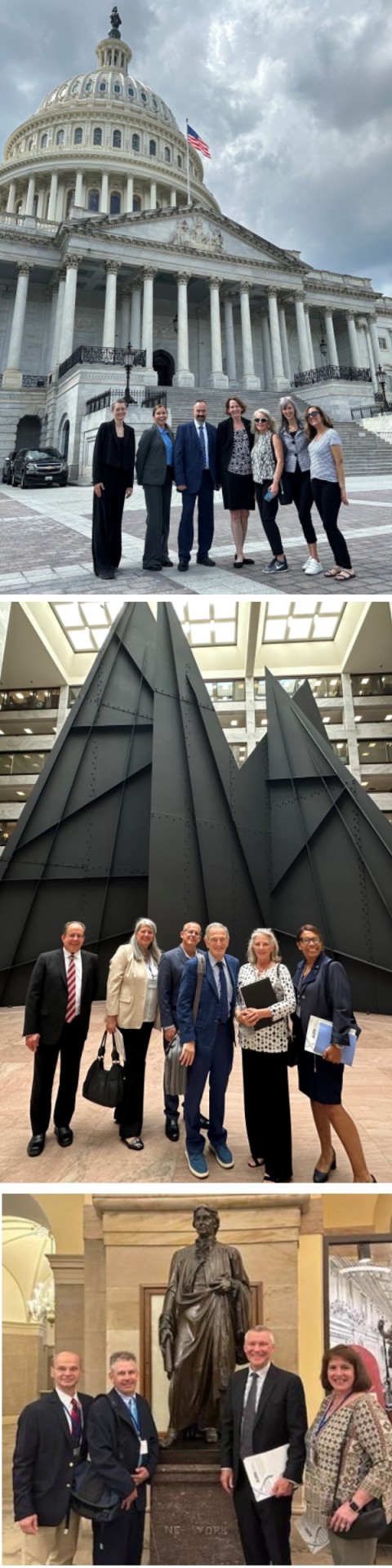AIRI advocacy at the U.S. Capitol
